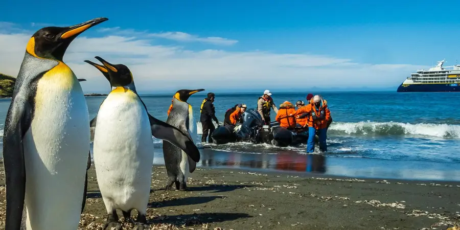 Cruisers transfer to dry land from a larger ship, as penguins look on