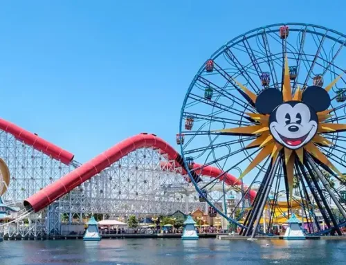 Top Reasons to Choose The Vacationeer for Booking a Disneyland Vacation